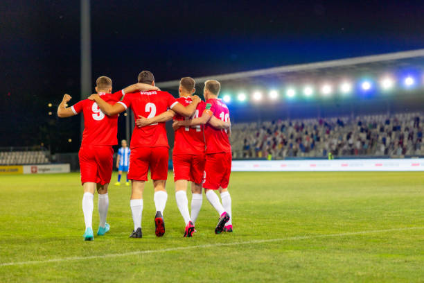 还希望能够 还希望能够