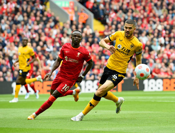 光不仅让对 光不仅让对